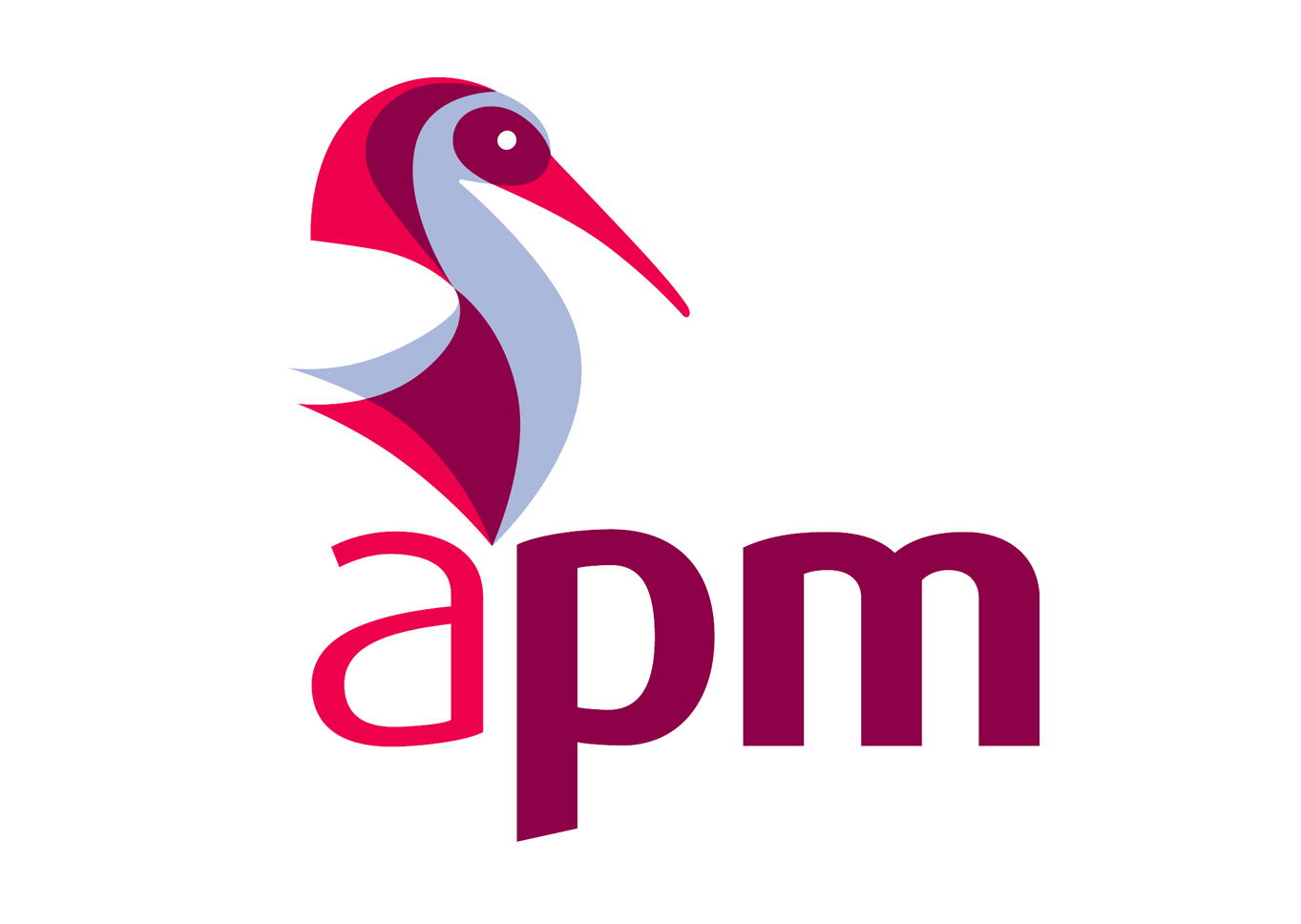 APM Project Fundamentals